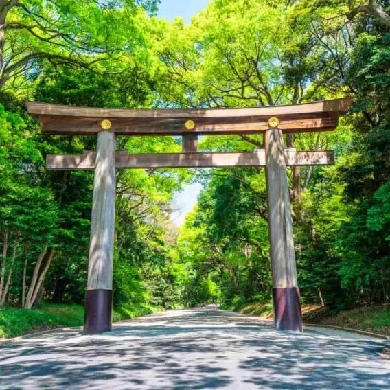 Tokio Esencial – Paseo Corto de 4 Horas entre Cultura y Compras